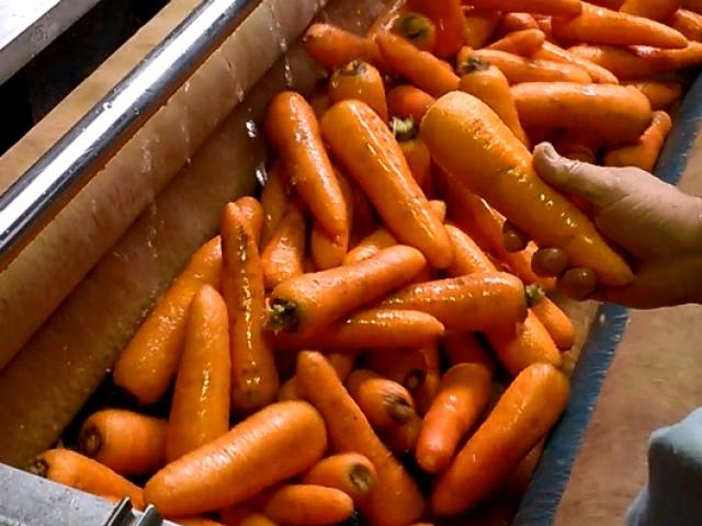 Машина для чистки овощей в Ессентуках